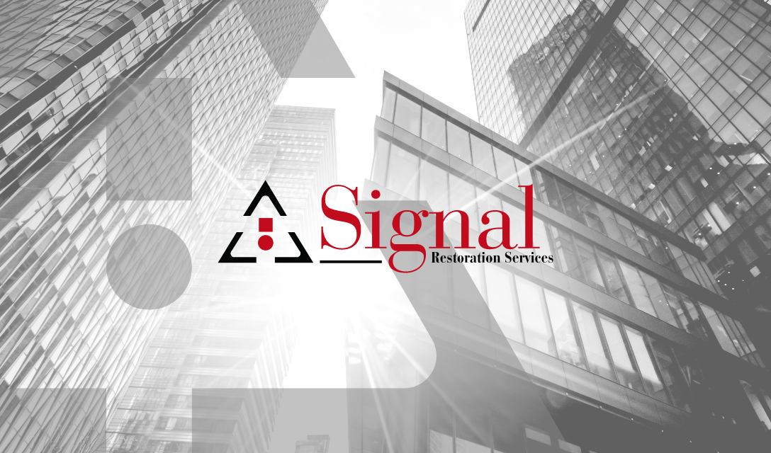 01 SIGNAL COVER IMAGE